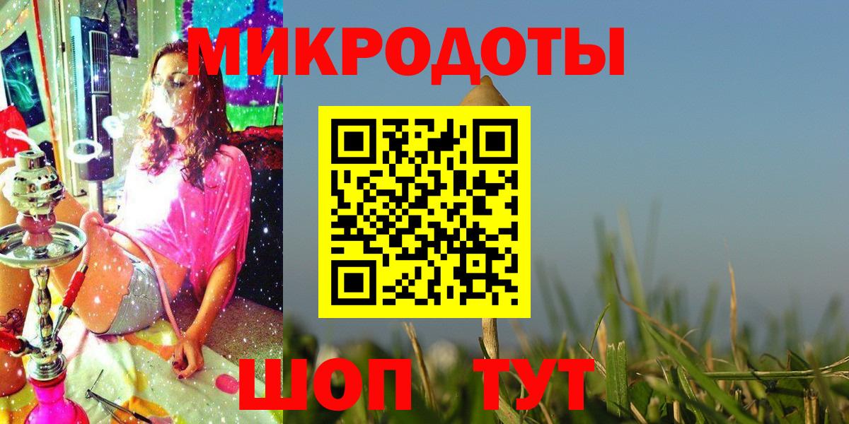 Псилоцибиновые грибы Cubensis Чернушка