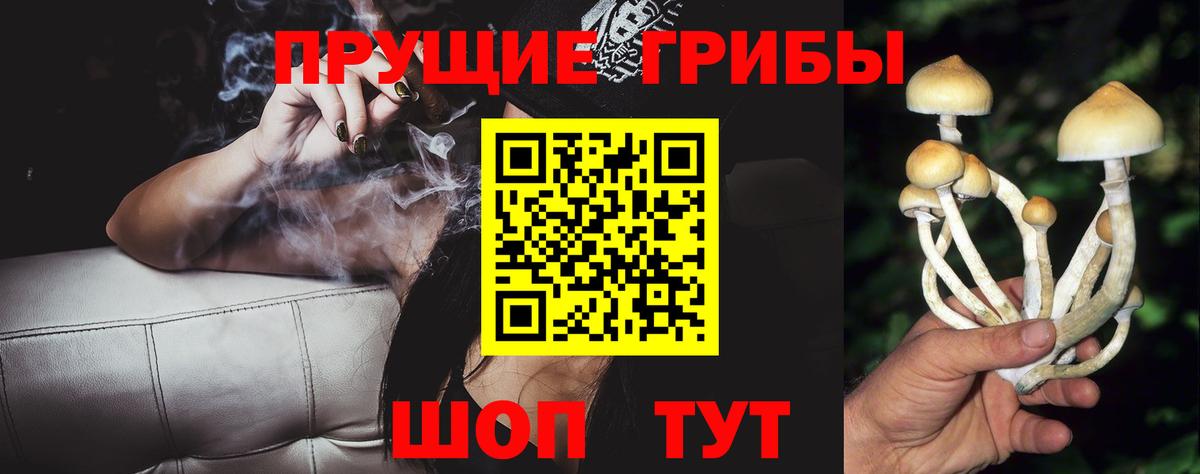 Псилоцибиновые грибы мицелий  Вход с VPN  Чернушка 